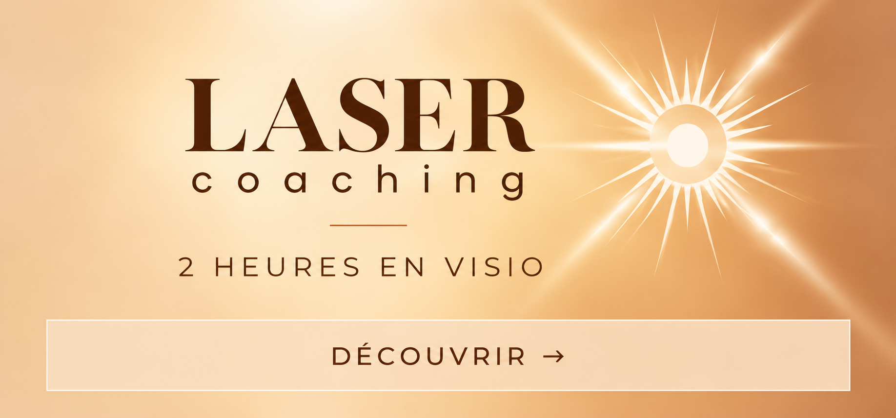 LASER Coaching, deux heures en visio